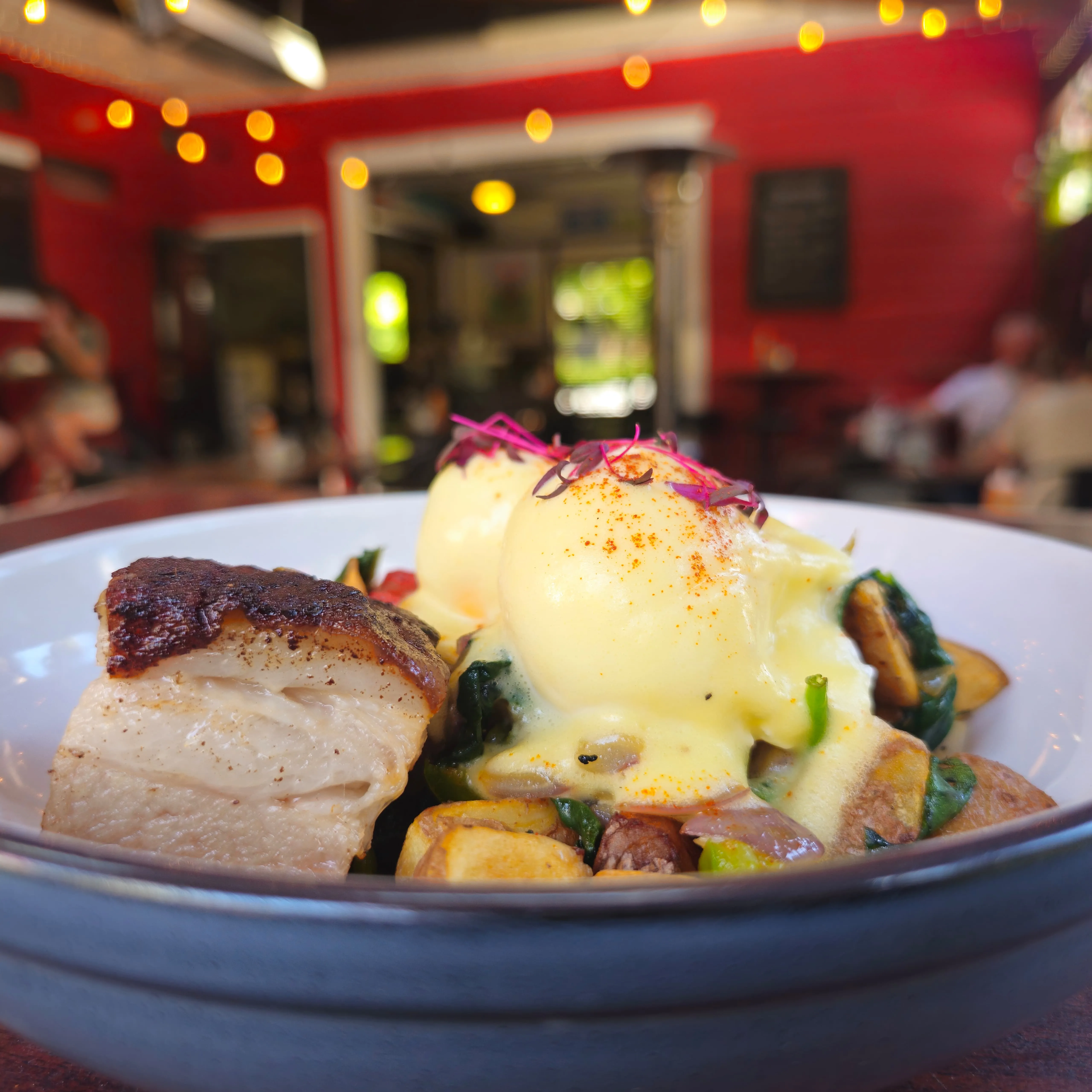 Lemon pepper pork belly hash