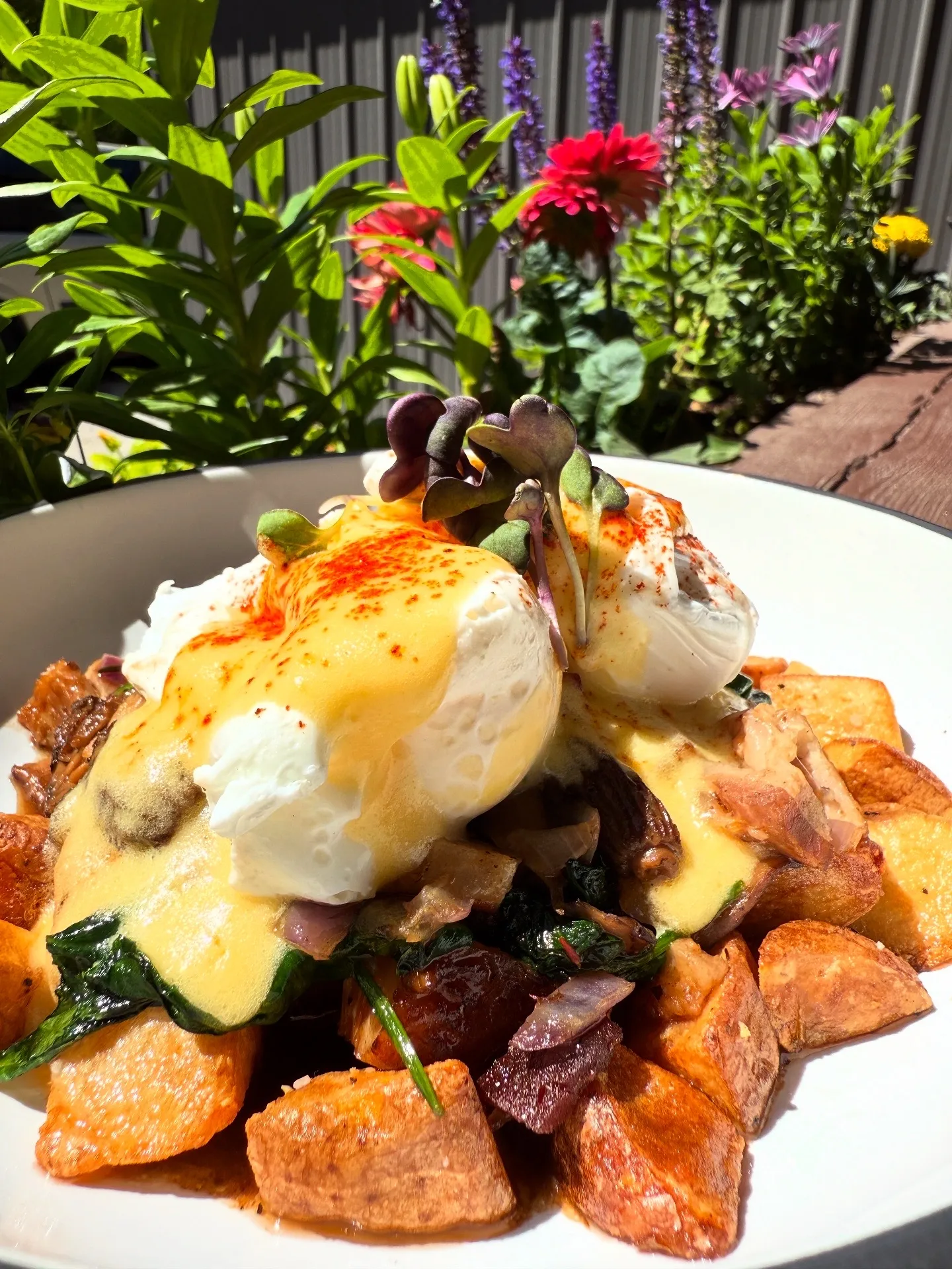 Hoisin Braised Pork Belly & Wild Mushroom Hash