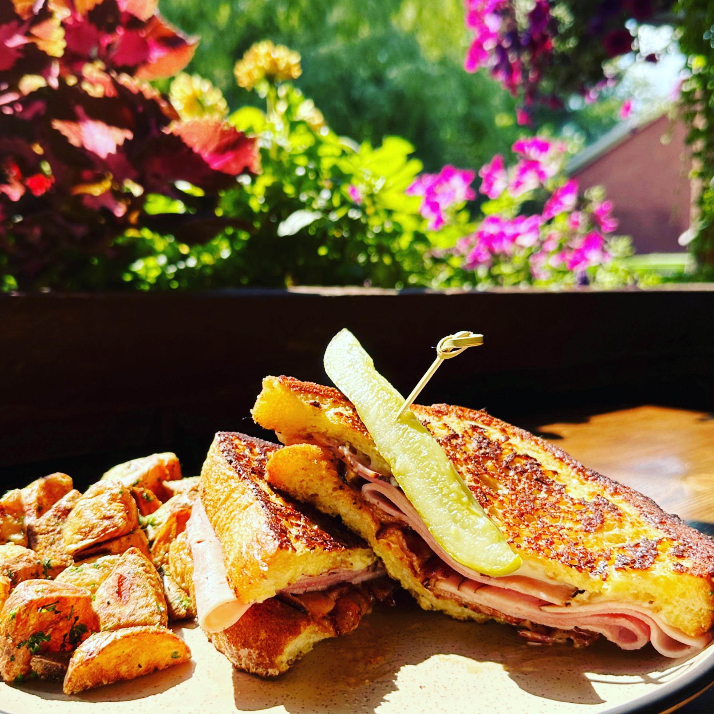 Monte Cristo $19.99